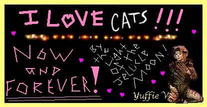 I LOVE CATS!!!!!!!!